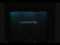 Counterfit Fifty - Without You