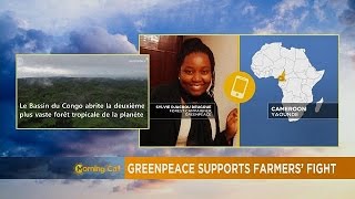 Sg Sustainable Oils Sued Over Land Grabbing In Cameroon The Morning Call