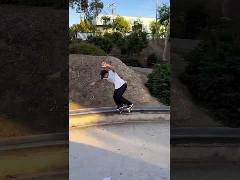 Gustavo Ribeiro Ledge Bangers!