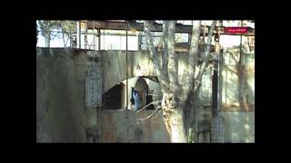 LES PERSONNELS DU CANAL DU MIDI.mpeg