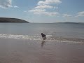cara in booley bay co,wexford