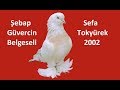 Şebap Güvercin Belgeseli Sefa Tokyürek 2002