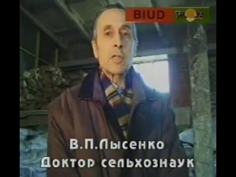 Удобрение для огурцов из навоза Удобрение для огурцов из навоза