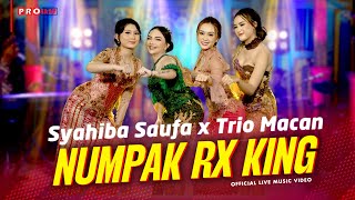 Syahiba Saufa X Trio Macan - Numpak Rx King