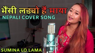 Bhaisi ladyo hai maya bhir bata hera cover song - bhaisi ladyo hae maya - sumina