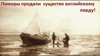 Поморы Архангельска Столкнулись Со Странной Тварью В Море