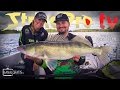 Strike Pro TV – Pelagic Zander 3.0 Strike Pro TV – Pelagic Zander 3.0
