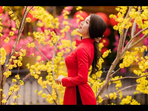 Nhạc Xuân 2021 Áo Dài 360 Chụp Ảnh Áo Dài Tết Số 1 Sài Gòn
