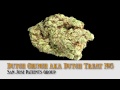 HIGH TIMES 2013 LA Medical Cannabis Cup -- Strain Entries