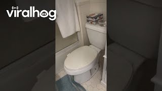 Two-Toilet Bathroom Viralhog