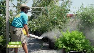 Seed of Knowledge ESP 19: Insecticide Dust Blower