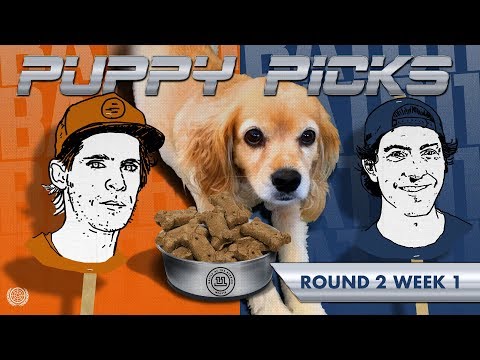 BATB 11 | Puppy Picks: Round 2 Week 1