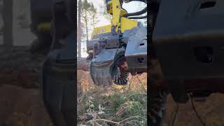 What The Cutting Of The Tree Looks Like With The H425 Of The Harvester#Johndeere #Tree #Harvester