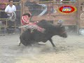 Que Jaripeo Los Destructores En La Luz Texas images Que Jaripeo Los Destructores En La Luz Texas