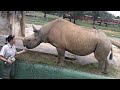 Busch Gardens Cheetahs and Endangered Species Tour