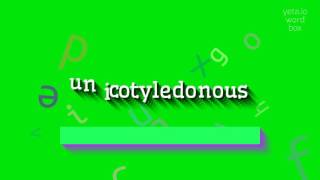 Tek Çenekli Nasıl Denir? How To Say Unicotyledonous?