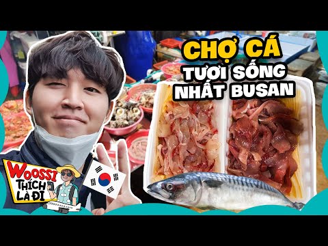 Busan và Sashimi Cá Ngừ Cấp Tốc Cực Tươi Ngon - Đi bụi Hàn Quốc #3 | WOOSSI THÍCH LÀ ĐI