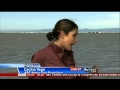 10/07 - 12/07 ABC News Report San Francisco Plane Crash