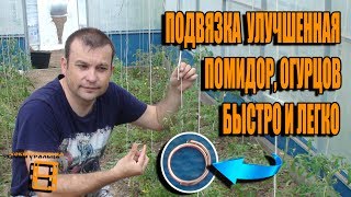 СУПЕР ПОДВЯЗКА ПОМИДОРОВ (ОГУРЦОВ) БЫСТРО И ЛЕГКО. КАК ОТМЫТЬ РУКИ ПОСЛЕ РАБОТЫ С ПОМИДОРАМИ?