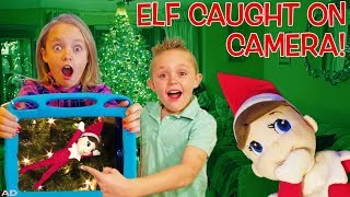 Elf On The Shelf Caught Moving On Real Camera In Real Life Our Sneaky Elf Arrived Elf On The Shelf Caught Moving On Real Camera In Real Life Our Sneaky Elf Arrived