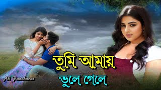 তুমি আমায় ভুলে গেলে || Tumi Amay Bhule Gele || তুমি আমায় ভুলে গেলে আমি আজও ভুলিনি