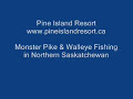 Monster Northern Pike Fishing