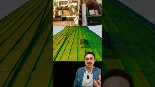 Yeşil Kubbe Ravza Üzerindeki Küçük Pencerenin Sebebi Darimide Geçen Şu Olay Denilebilir.
