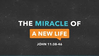 The Miracle of A New Life