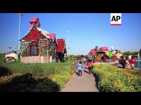 Desert Garden Video