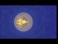 Spore Mods - Advanced Cell Replacement Pack 1