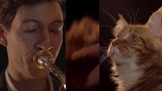 Local Brass Quintet / Danzón n°2 - Marquez