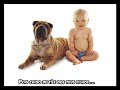 Pedido dos animais!!!