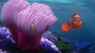 Finding Nemo Egg