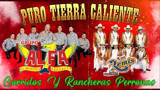 Los Remis y Alfa 7 || Clasicos De Tierra Caliente - 20 Corridos Y Rancheras Perr