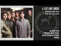 A Lot Like Birds - "THINK DIRTY OUT LOUD"
