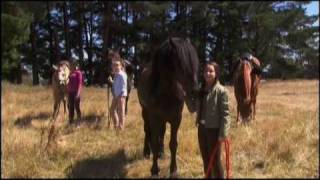 Watch Saddle Club Be Free video