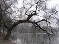 Celestial Season - Soft embalmer of the still midnight