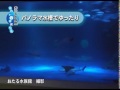 パノラマ水槽でゆったり　アオウミガメ「太郎」＜おたる水族館＞北海道新聞