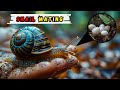 How do snails mate? | Snail Mating and Reproduction Explained