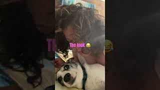 Dog Reacts To Kisses Wait 4 It