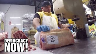 “It’s Very Scary”: COVID Surges in Meat Plants as Activists Demand Worker Safety & Meatless Mondays