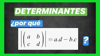 DETERMINANTE 2x2 | Porque se calculan det(A)=ad-bc