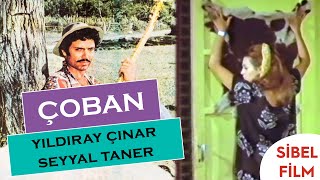 Çoban | Türk Filmi | Yıldıray Çınar | Seyyal Taner | Sibel Film