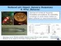 ocean acidification