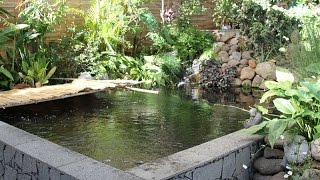 Le Bin A Koi De Kity À La Réunion