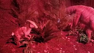 Parasaurolophus - Dilophosaure - Suchomimus - Iguanodon
