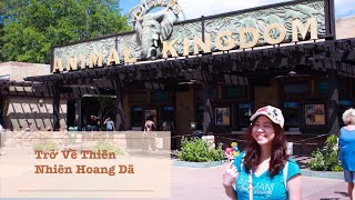 Tham quan Animal Kingdom/ Travel to Walt Disney World