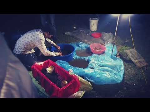 Boc mo mot tuc le trong nen van hoa Viet Nam!