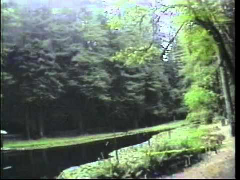 Dark Secrets Inside Bohemian Grove - Alex Jones Documentary - HQ [MP4 Video - Medium Quality]