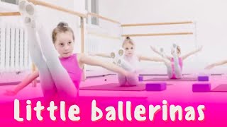 Little Ballerinas In Ballet Class